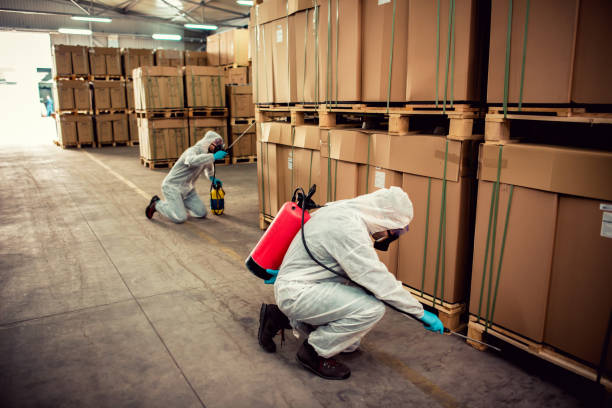 Best Flea Control Services  in Hampton, GA