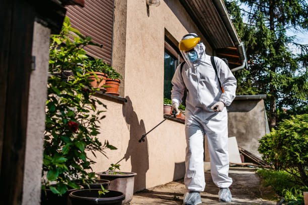 Best Affordable Pest Control Services  in Hampton, GA