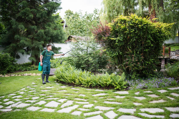 Pest Prevention Services in Hampton, GA