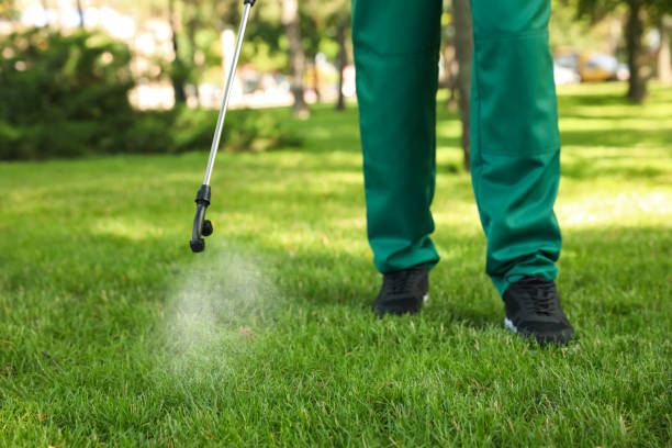 Best Residential Pest Control  in Hampton, GA