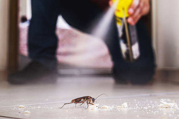 Best Commercial Pest Control Services  in Hampton, GA