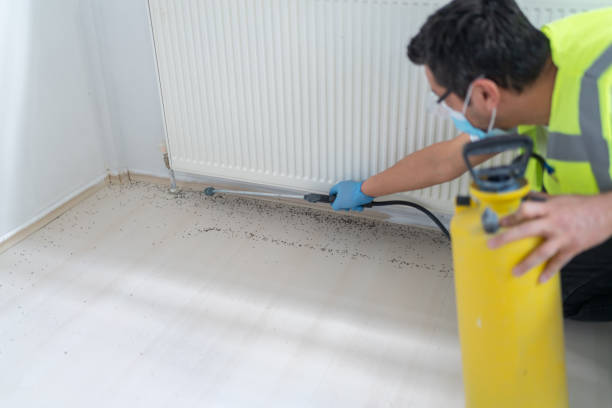 Best Bed Bug Extermination  in Hampton, GA